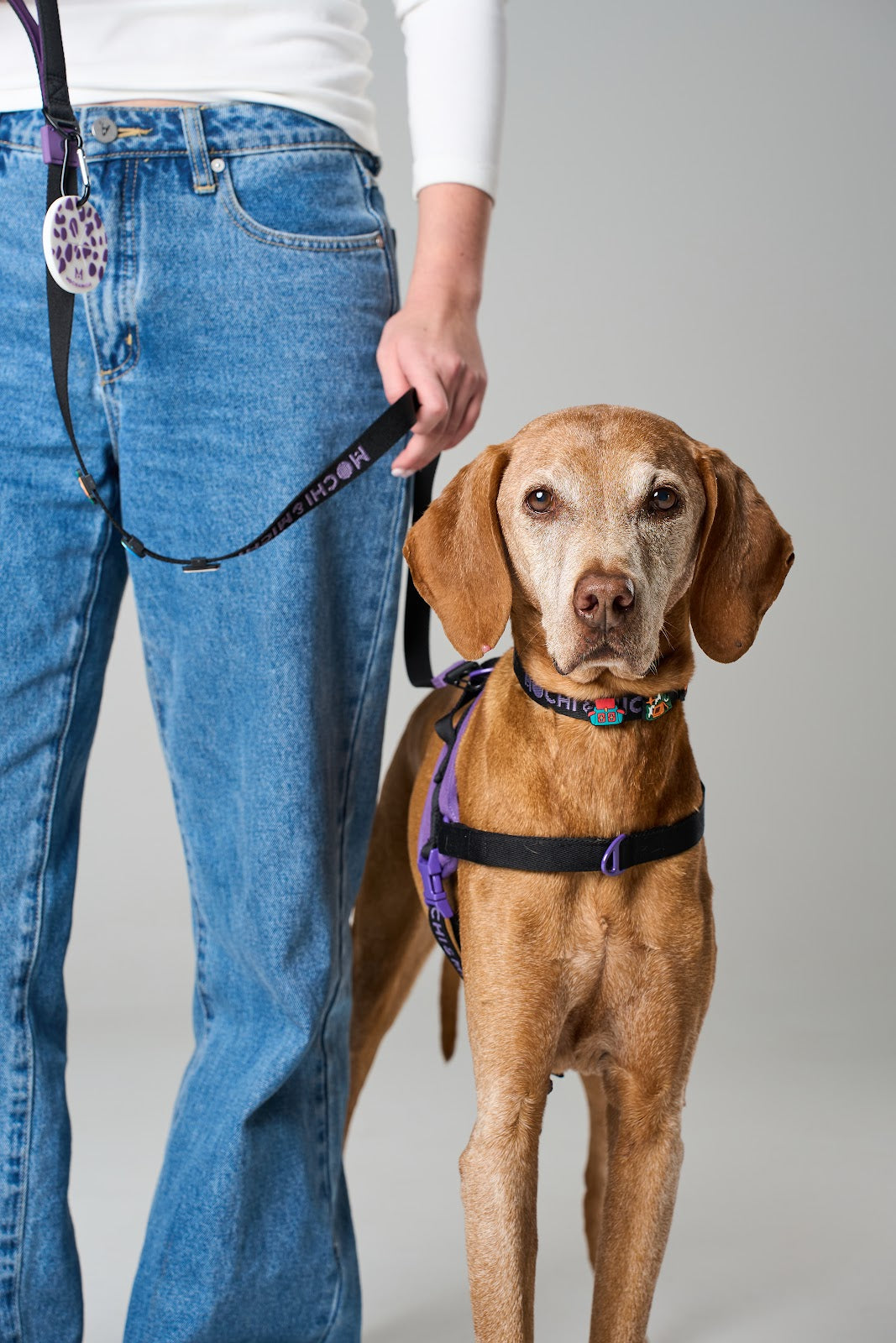 Harnesses