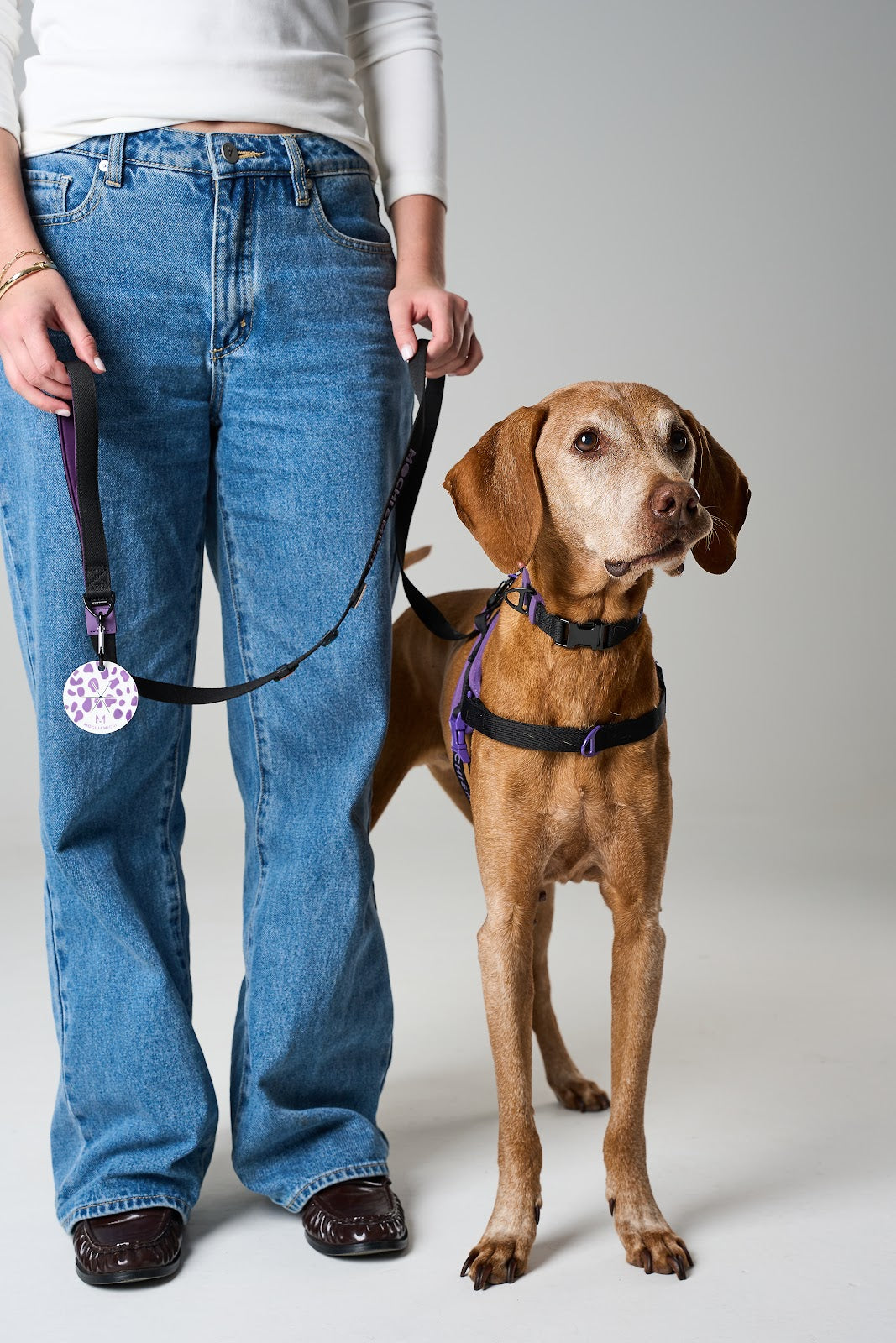 New Pup Essentials Kit - Black/Purple