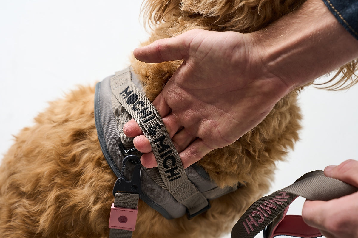 CloudComfort Harness