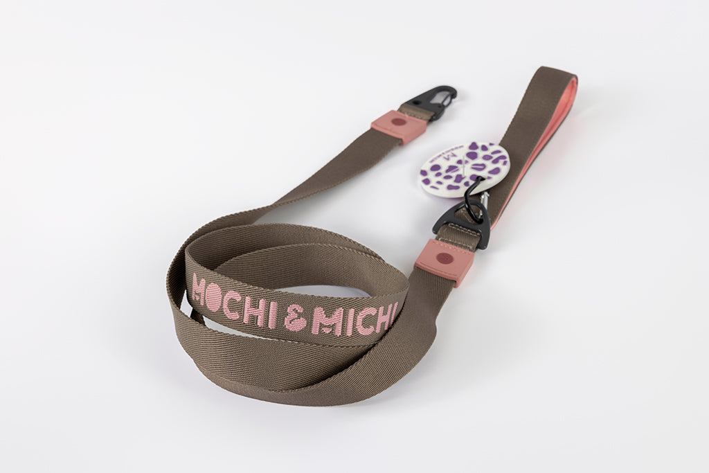 The Daily Stroll Set - Brown/Pink