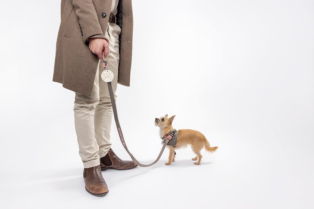 CloudComfort Harness