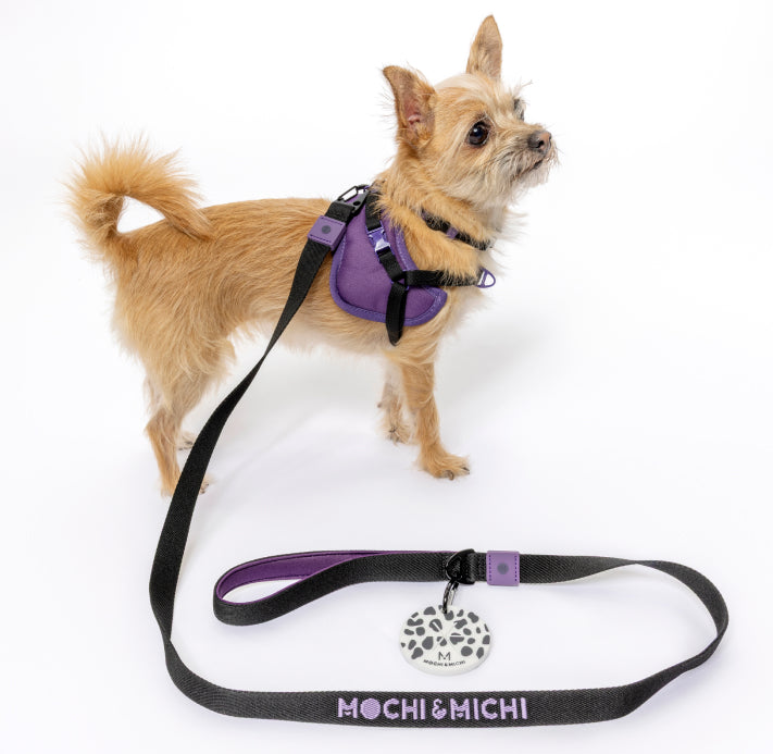 New Pup Essentials Kit - Black/Purple