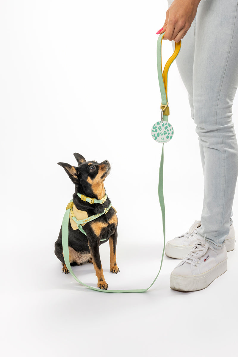 The Daily Stroll Set - Turquoise/Yellow