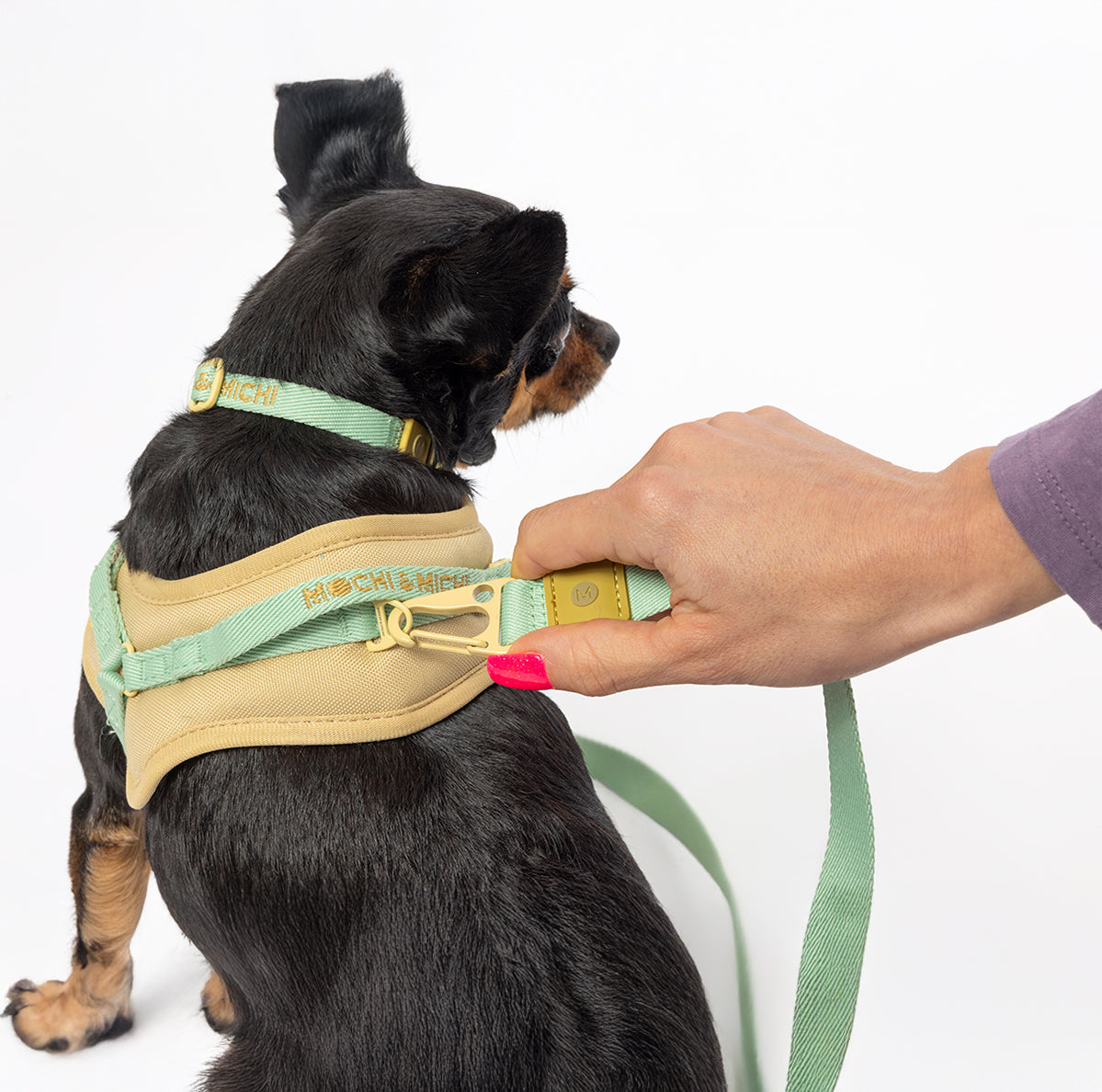 CloudComfort Harness