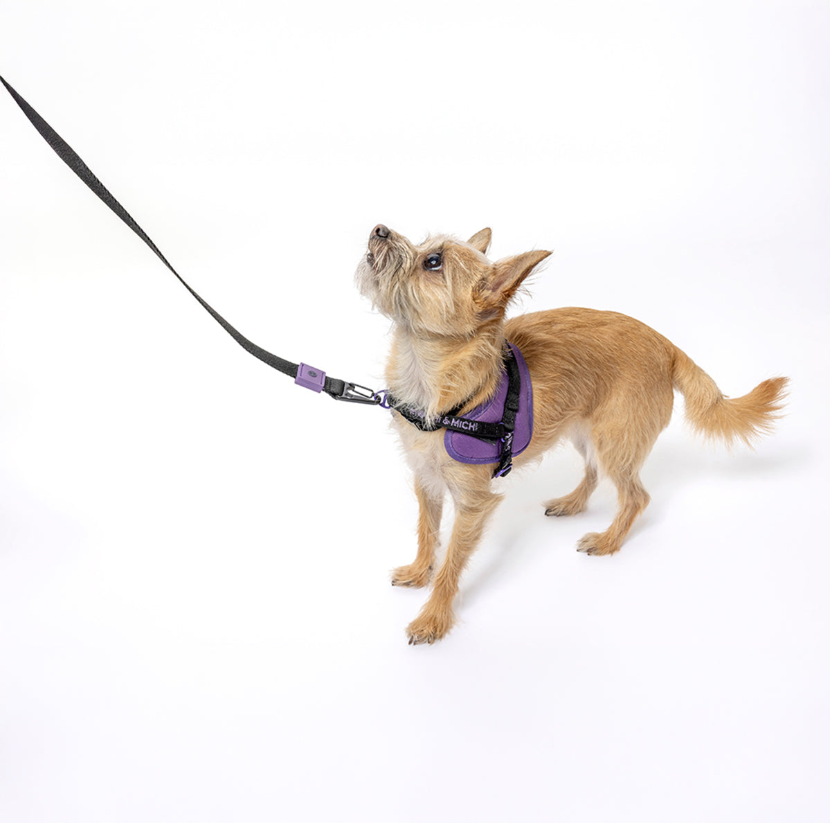 CloudComfort Harness